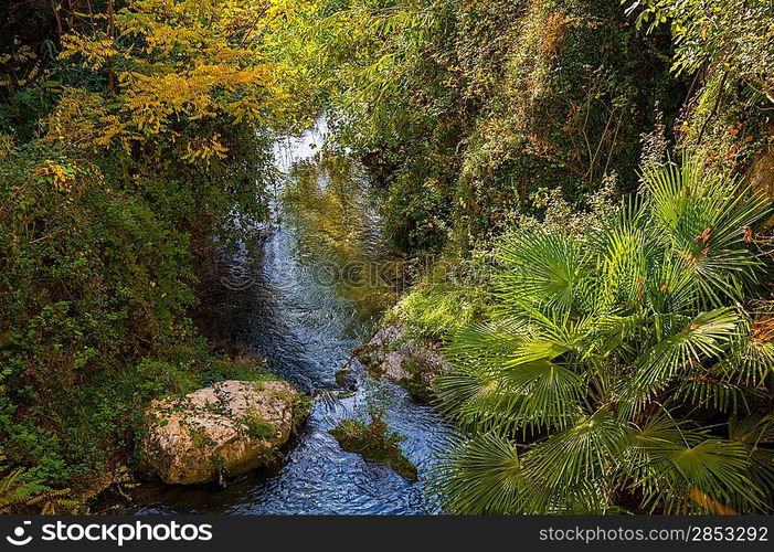 Stream in a woods