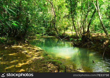 Stream in the tropical forest