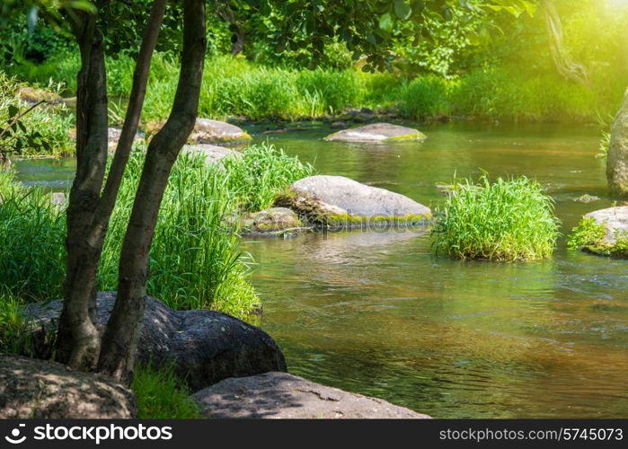 Stream in the tropical forest. Environment sunny landscape