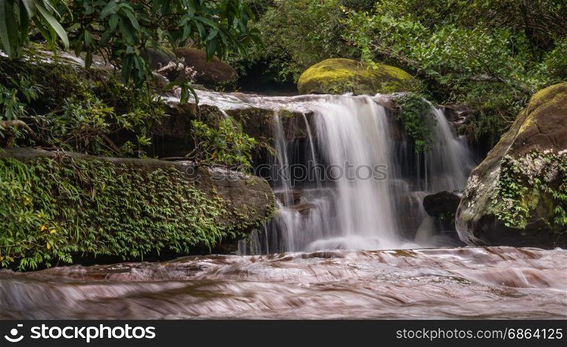 Stream in the tropical forest. Stream in the tropical forest . Cascade falls over mossy rocks