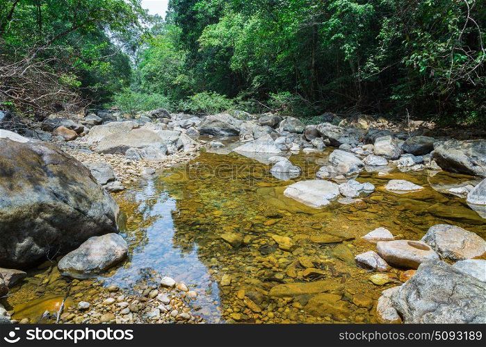 Stream in the tropical jungles of Asia