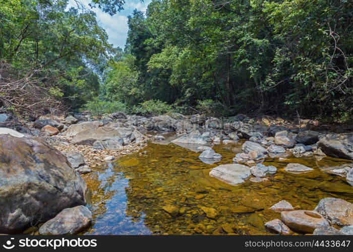 Stream in the tropical jungles of South East Asia