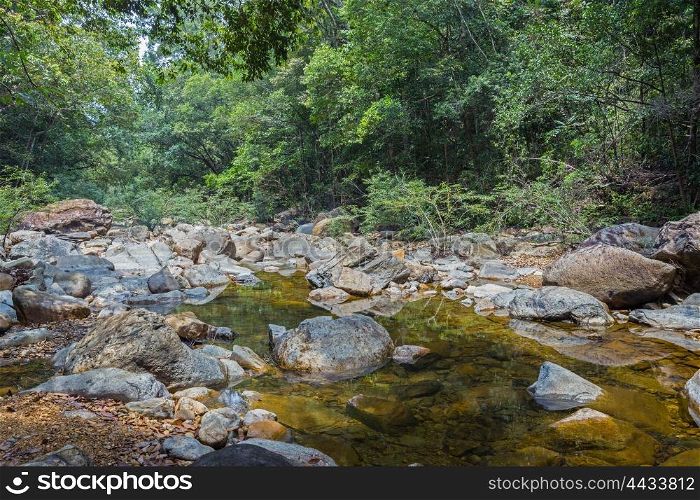 Stream in the tropical jungles of South East Asia