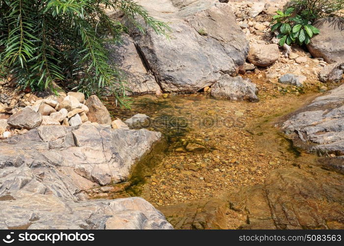 Stream in the tropical jungles of South East Asia