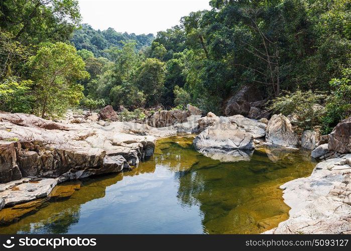 Stream in the tropical jungles of South East Asia