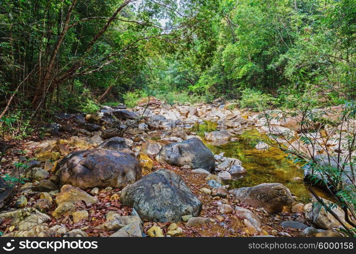 Stream in the tropical jungles of South East Asia