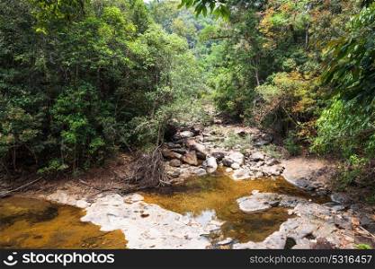 Stream in the tropical jungles. Stream in the tropical jungles of South East Asia