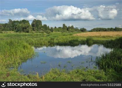 Stream on a meadow, reflexion of clouds in water.