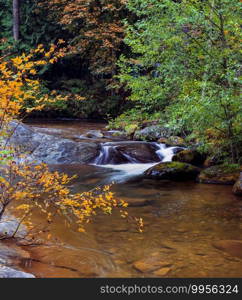 Stream surrounded by Autumn colors 
