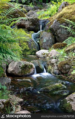 Stream with rocks in tropical forest