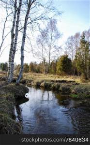 Streaming creek in a rural landscape. From the swedish island Oland.