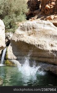 Streams and waterfalls Nature Reserve Ein Gedi at the Dead Sea in Israel. A boy jumps into the water from a rock