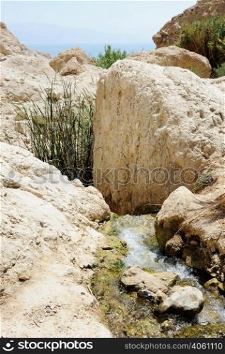 Streams and waterfalls Nature Reserve Ein Gedi at the Dead Sea in Israel. Streams and waterfalls Nature Reserve Ein Gedi