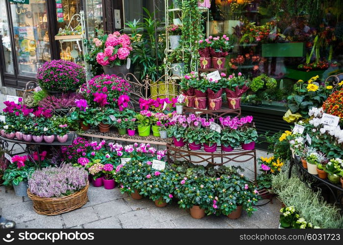 Street flower shop with colourful flowers