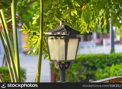 street forged metal lanterns on on a well-groomed cottage with green grass and flowers