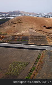 street home viticulture winery lanzarote spain la geria vine screw grapes wall crops cultivation barrel&#xA;