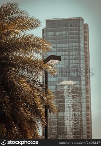 Street l&against the background of Modern architecture and Sugar palm tree by Afternoon sun. Selective focus.