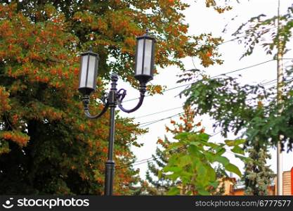 Street lamp in the park against trees