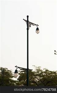 Street lamps. The trees at the bottom of the light pole.