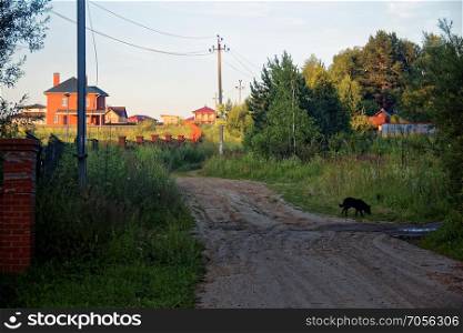 street of a country village in the evening in autumn. street of a country village in the evening in autumn, Russia