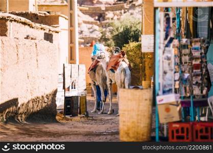 street scene marrakesh