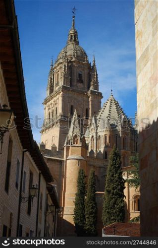 Street view of Salamanca&rsquo;s Cathedral