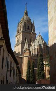 Street view of Salamanca&rsquo;s Cathedral
