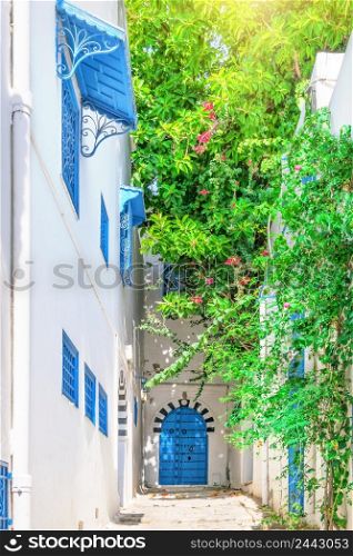 Street with white with blue house and flowers. At end of the street is a blue forged door. The most popular tourist city of Tunisia. Sidi Bou Said, Tunisia. Street with white with blue house and flowers