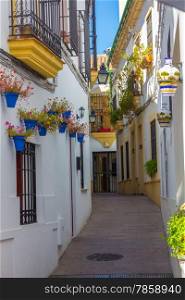 Streets decorated with flowers and barred windows typical of the city of Cordoba, Spain