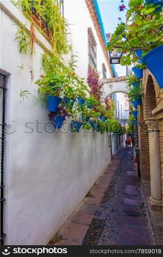 Streets decorated with flowers and barred windows typical of the city of Cordoba, Spain