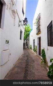 Streets of typical white houses of the city of Cordoba, Spain