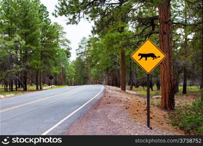 Streetsight on the edge of a road in Grand Canyon National Park, USA