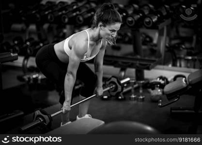 Strength training, female athlete exercising in the gym. Strength Training, Exercising in the Gym