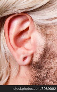 Stretched lobe piercing, grunge concept. Pierced man ear without black plug tunnel. Stretched man ear after tunnel piercing
