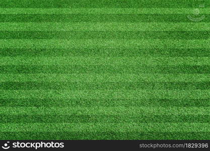 Striped grass soccer field. Green lawn sport background. Top view