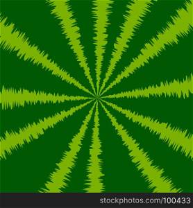 Striped Green Watermelon Background. Natural Berry Pattern. Striped Green Watermelon Background
