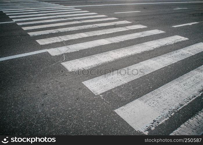 Striped white zebra on gray asphalt across the street