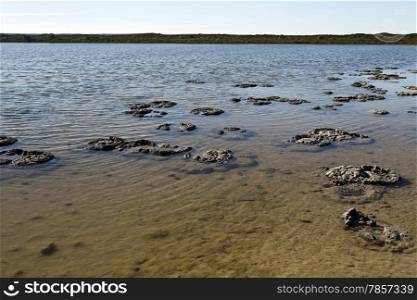 Stromatolites are one of the most ancient form of life on Earth, here seen in Lake Thetis in Western Australia