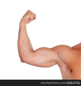 Strong biceps isolated on a white background
