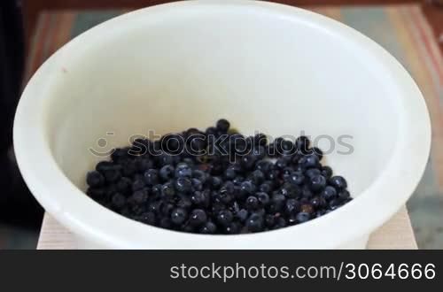strong hands of man pluck berries from purple grapes into white plastic bowl