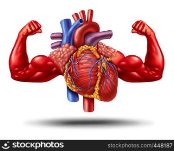 Strong healthy human heart as a cardiology fitness and health symbol or powerful cardio exercise as an anatomy organ with muscle biceps in a 3D illustration style.