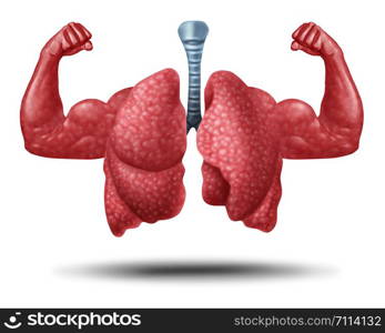 Strong healthy human lungs and powerful cardiovascular with muscle biceps in a 3D illustration style.