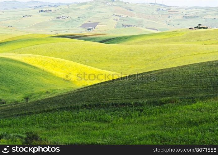 Stubble Fields on the Hills of Sicily