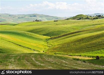 Stubble Fields on the Hills of Sicily