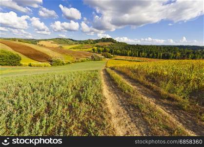 Stubble fields on the hills of Tuscany in the autumn. Overgrown path leading to a small medieval town in Italy.