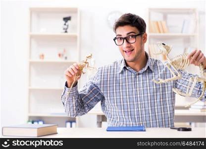 Student doctor studying animal skeleton