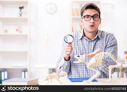 Student doctor studying animal skeleton