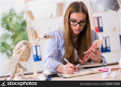 Student examining animal skeleton in classroom