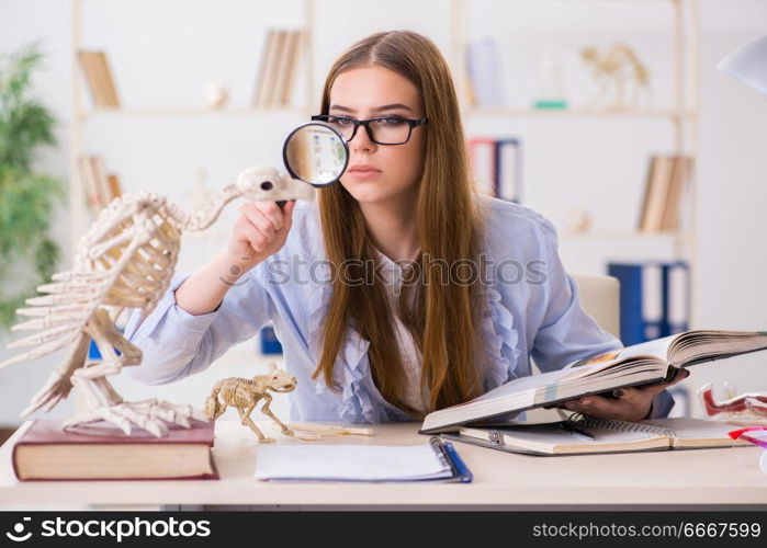 Student examining animal skeleton in classroom