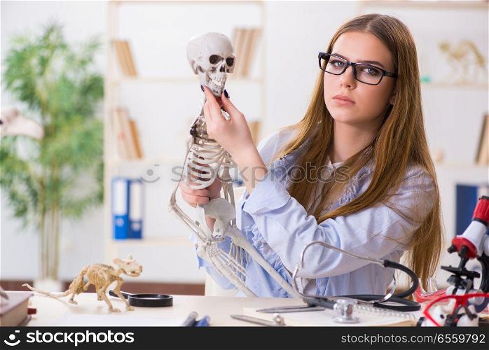 Student sitting in classroom and studying skeleton